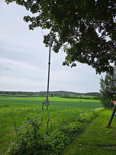 611280225_10164385966119136_4634287279076286283_n